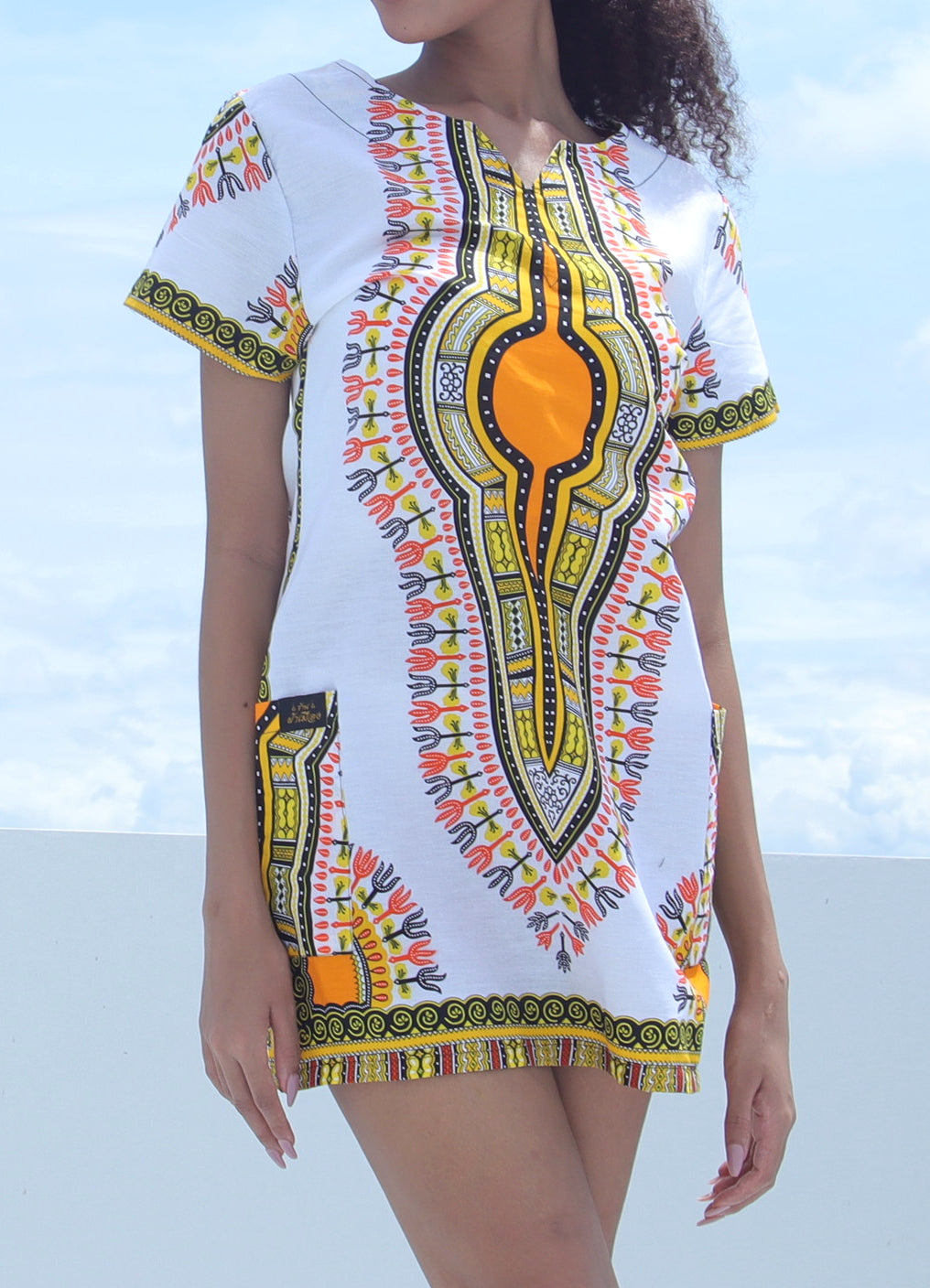 Fitted African Dashiki Frock Side Pocket with Zipper Back 70s Cotton Dress