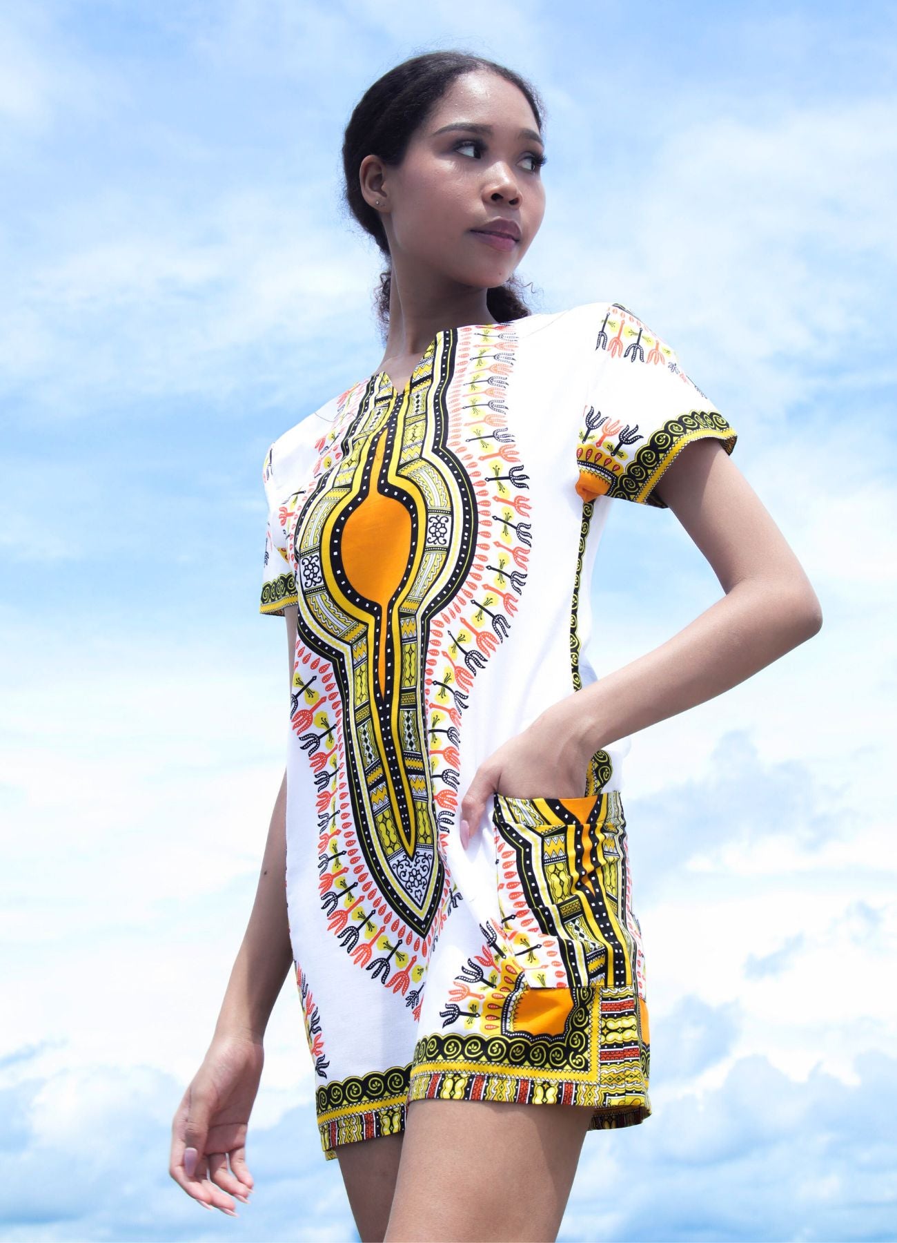 Fitted African Dashiki Frock Side Pocket with Zipper Back 70s Cotton Dress